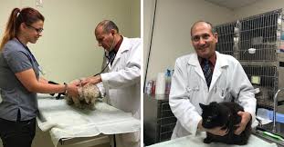 Exhaustive directory · top quality pet care · trusted professionals Meet Dr Ayman Salem Silver Spring Veterinary Hospital