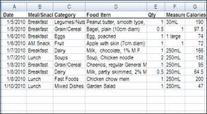 Excel Calorie Counter Contextures Blog