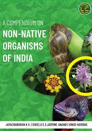 Image result for Pycreus fluminalis