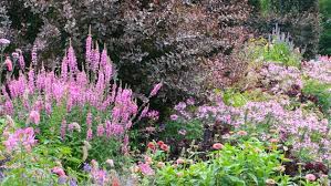 Daher ist es optimal, wenn man die gartenpflanzen auf die örtlichen gegebenheiten abstimmt. Den Garten Pflegeleicht Und Naturnah Gestalten Ndr De Ratgeber Garten