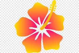 Flower pattern png images, white flower pattern, flower pattern vector, hand painted flower pattern, flower decoration pattern, flower vine pattern, red flower pattern, elegant flower pattern png. Hawaii Drawing Flower Floral Design Lomi Orange Plant Stem Png Pngegg