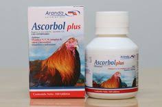 See more ideas about health supplements, game fowl, health. 8 Mexican Gamefowl Supplies Ideas Game Fowl Sparring Supplies