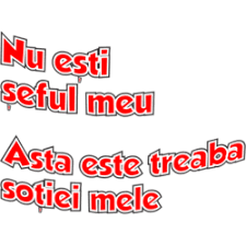 Mesaj de anul nou pentru părinţi: Cani Personalizate Cu Mesaje Haioase