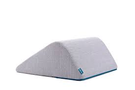 Image result for Orthopichonia