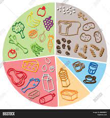 Scores are based on experts' reviews. Healthy Food Diagram Vector Photo Free Trial Bigstock