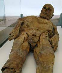 Mumie – Wikipedia