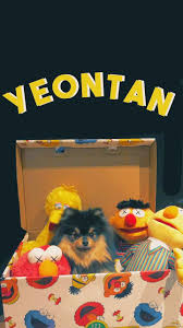  Yeontan Uwu Dogs Love Animals Pets Anjing Lucu Gambar Karakter
