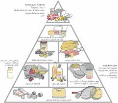 هرم هارفارد الصحي healthy eating pyramid healthy healthy eating