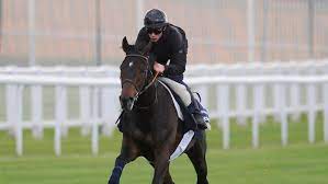 Boudot and fellow rider pierre bazire were placed in custod… France Galop Suspends Pierre Charles Boudot After Rape Indictment