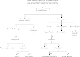 Evaluation Of The Painful Eye American Family Physician