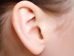 Very Weird Swooping Shape Lacking A Lot Of What Makes Ears Look Like Ears Seems To Be Missing Cartilage Ringing Ears Remedy Tinnitus Remedies Ear