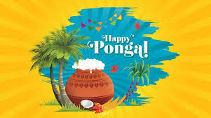 Pongal 2019 A Harvest Festival Of Many Colours Ixigo Travel Stories Get all the latest news and updates on pongal 2019 only on news18.com.