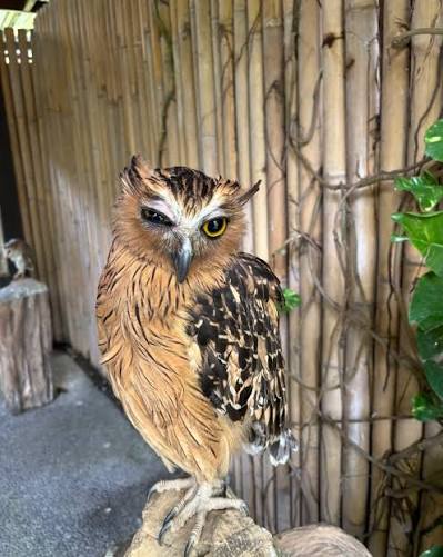 That moment when the bird gives you the side eye… and you ...