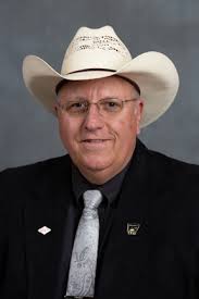 Arkansas Senate District 22 (2024 Voter Guide)