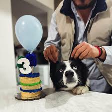 FELIZ CUMPLEAÑOS 🎂 Pequeño Jack Alfonso . 3 años .