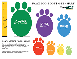 Ortocanis Rubber Dog Boot Pawz