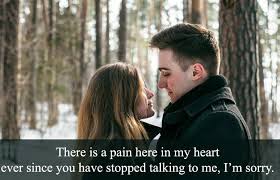 It is very easy in the heat of battle to hurt your partner in a very sensitive place. I Am Sorry Quotes For Bf I Love You Please Forgive Me Quotes For Him Apologizing Quotes Sorry Quotes I Am Sorry Quotes