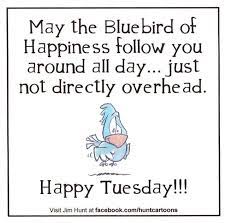 Tuesday is the day that often being taken for granted. Hilarious Tuesday Quotes Quotesgram