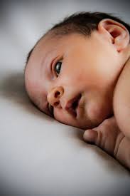 Sally Kaye Photography