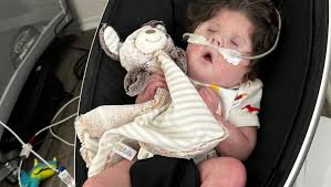 Fundraiser for Hector Hernandez by Fiona Armijos : Help Hector and Becca  fight for their baby's life