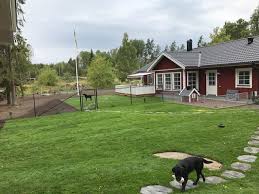 Image result for site:byggahus.se rullgräs