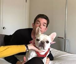 The couple, however, do have a french bulldog named petunia together. Netflix Is A Joke On Twitter John Mulaney Claims To Have A Dog But Have You Ever Seen Petunia And Bruley In The Same Room