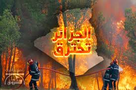 Jun 27, 2021 · ق.و/وكالاتتنظم المحافظة السامية للأمازيغية بالتعاون مع الإذاعة الوطنية برنامجا ثريا من اللقاءات والمعارض والتكوينات الموجهة لتثمين اللغة الأمازيغية و ترقيتها وذلك من 5 إلى 8 جويلية المقبل بمدينة بومرداس احتفالا. Ø­Ø±Ø§Ø¦Ù‚ Ø§Ù„ØºØ§Ø¨Ø§Øª ÙÙŠ Ø§Ù„Ø¬Ø²Ø§Ø¦Ø± Ø§Ù„Ø´Ø±ÙˆÙ‚ Ø£ÙˆÙ†Ù„Ø§ÙŠÙ†
