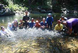 Walaupun hanya sekadar tasik buatan, tasik kenyir telah berjaya menarik ramai pelancong dari dalam dan juga luar negara. 10 Tempat Menarik Di Tasik Kenyir Ramai Tidak Tahu Ammboi