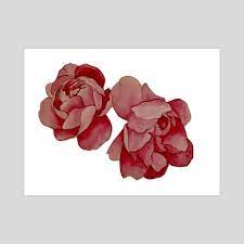 peonies, an art print by Azielle - INPRNT