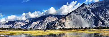 Image result for Nubra Valley â€“ Leh