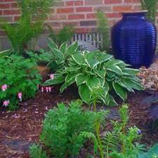 Pin By Mary Homann On My Shade Garden East Facing Garden Planting Flowers Front Yard Landscaping