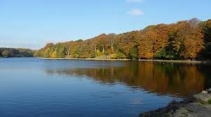 Image result for roundhay