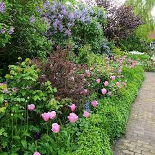 Alie Stoffers Dutch Spring Garden Will Be Featured In My Next Book Forarshaver Spring Gardens Which Will Be Published In Apri Garten Flowerpower Gardening