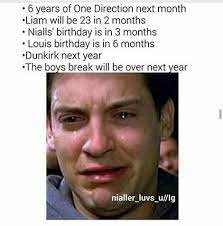 Too Much Is Gonna Happen O One Direction Memes One Direction One Direction Love