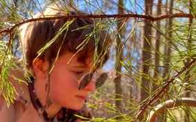 Senior Spotlight: Raine Tillotson