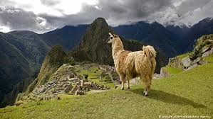 The inca trail to machu picchu (also known as camino inca or camino inka) is a hiking trail in peru that terminates at machu picchu.it consists of three overlapping trails: Machu Picchu Nur Noch Mit Fuhrung Dw Reise Dw 06 06 2017