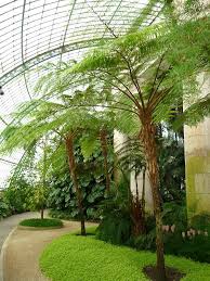 Visite Des Serres Royales De Laeken Belgique Jardin D Hiver Plantes En Serre Jardins