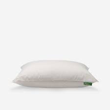Purchase these wonderful cotton filled pillows at competitive prices from the site. Organic Cotton Pillow