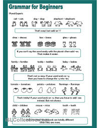 Grammar For Beginners Plural Experts English For Beginners English For Beginners Worksheets Plurals