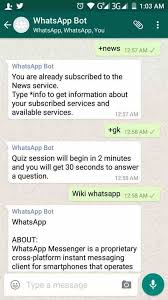 4 einsatz von bots von whatsapp. How To Use Whatsapp As A Search Engine Activate Whatsapp Wikipedia Bot
