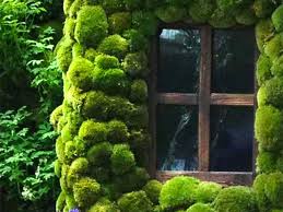 Moss Walls The Newest Trend In Biophilic Interiors Vertical Garden Beautiful Gardens Dream Garden