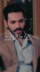 Farida Sheikh (faridaansari2100)