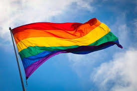 The distinctions get pretty specific, which might explain why you. Lgbtq Pride Flag And Others May Soon Fly At Federal Way City Hall Federal Way Mirror