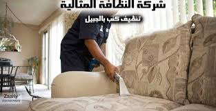 Pin On النظافه المثاليه