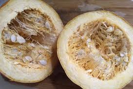 Fruit rots such as anthracnose, scab, and fusarium fruit rot are common under wet conditions. Specific Varieties Of Zucchini For Resistance To Mildew Squash Bugs Plus Adventures With Tatume Plants Forum At Permies
