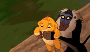 Share the best gifs now >>> If Simba Was Just Thrown Off Pride Rock Like A Piece Of Trash Disney Movie Scenes Funny Gif Disney Funny