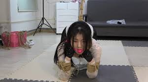 K9 training CD-unleash your inner dog