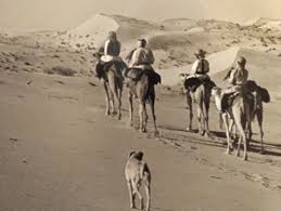 When i handed back the mug, i got a refill without asking for it. Chapter 7 Kinetic Symbol Falconry As Image Vehicle In The United Arab Emirates In All Things Arabia