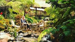 Видео tanjakan s coban siuk канала yuniar setiawan. Coban Tarzan Air Terjun Alami Malang Jadwaltravel Com