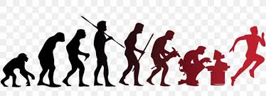 Human Evolution Evolutionary Psychology Ape, PNG, 1135x411px ...